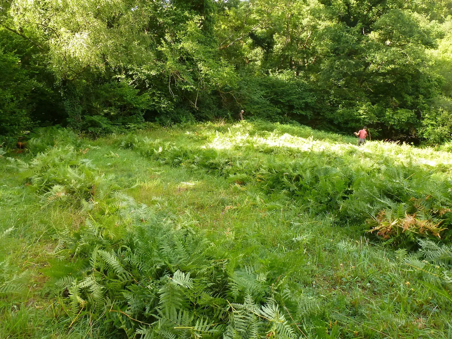 La Valmière © CEN Normandie