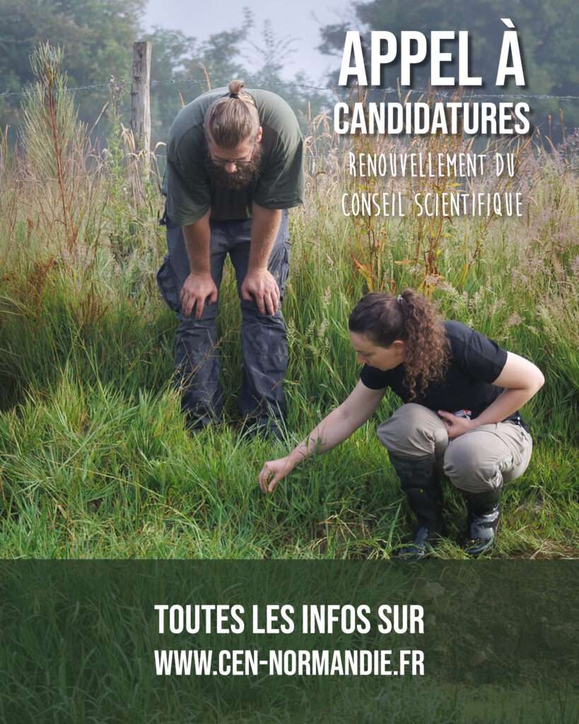 Affiche "Renouvellement du Conseil scientifique". "  Il est écrit "Appell à candidature Renouvellementu Conseilscientifique" en haut à gauche. Au milieu,milieu, il y aa deux scientifiquess étudiant la faune et la flore d'un marais normand. On retrouve aussi un bandeau vert avec écrit "Toutes les infos sur le site internet" avec un lien vers le site du CEN Normandie. 
