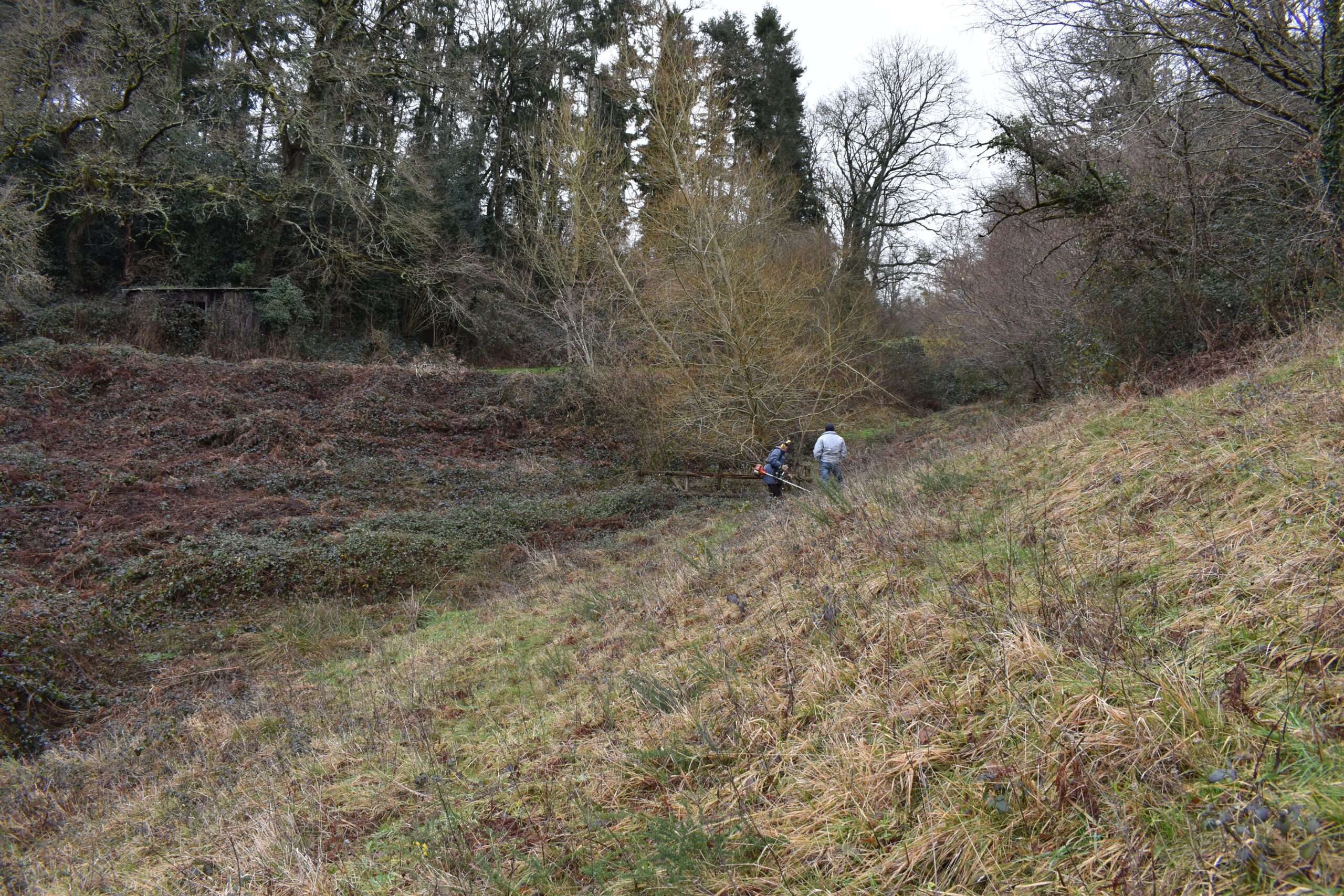 Deux homme débroussaillant le coteau de la Valmière dans l'Orne lors d'un chantier nature organisé par le CEN Normandie
