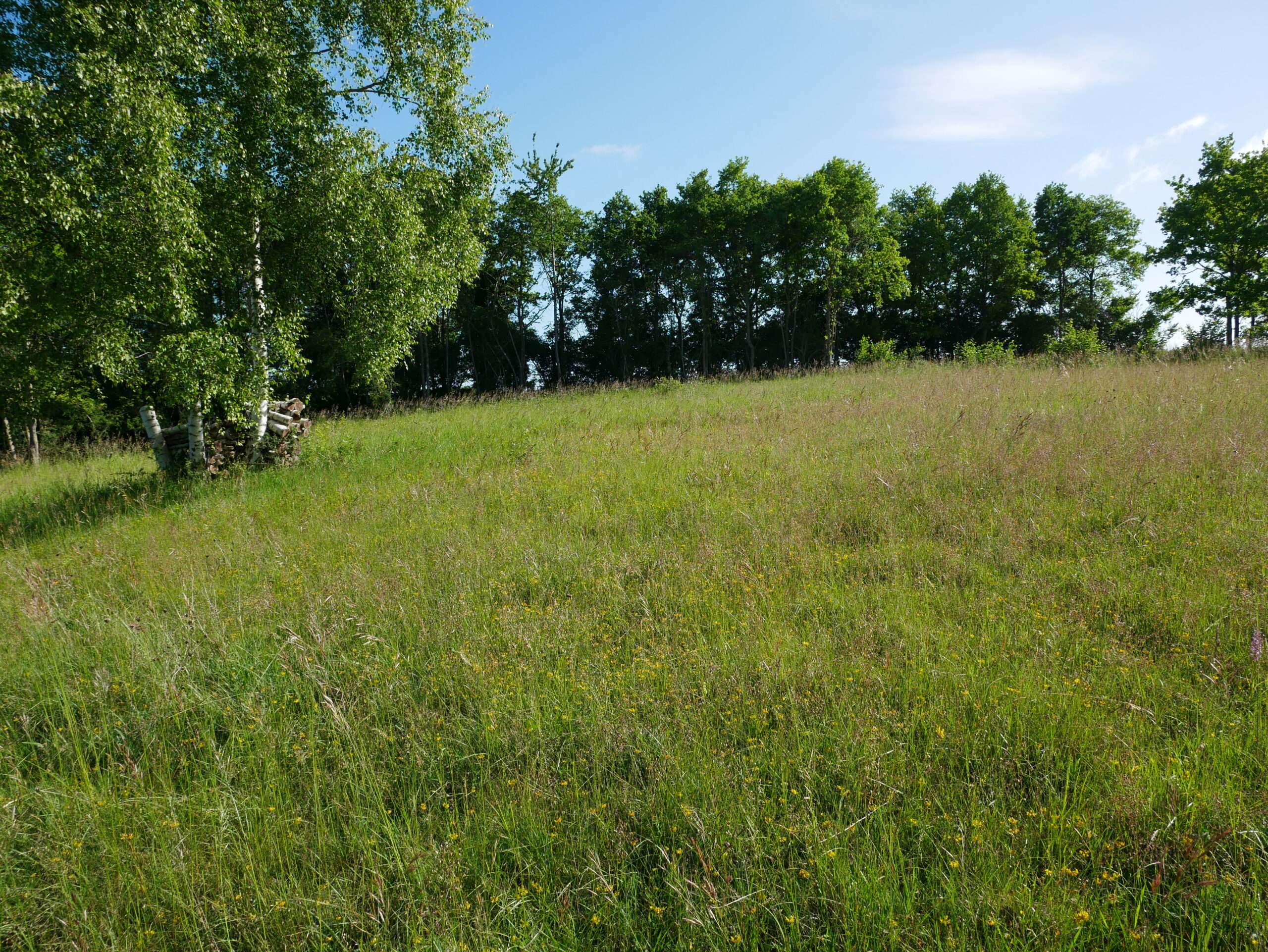 Photos des houles blanches (pelouse) prise par Samuel Vigot lors d'une journée ensoleillée