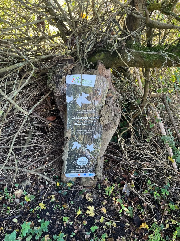 Une photographie d'un panneau vertical intégré sur l'écorce d'un arbre dans un sous-bois dense. Le texte sur le panneau indique : "Cet espace naturel est destiné à la libre évolution. La faune et la flore y évoluent dans le temps sans que l'homme n'intervienne." Le logo du CEN Normandie est visible en bas, entouré de branches sèches et de feuilles mortes au sol.