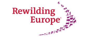 Le texte "Rewilding Europe" est écrit en rouge avec une police à empattements (serif). À droite, une arche dynamique est formée par une multitude de petites icônes violettes représentant la biodiversité : oiseaux, cerfs, poissons, insectes, ainsi que des activités humaines comme la randonnée et le cyclisme, symbolisant l'harmonie entre l'homme et la nature sauvage.
