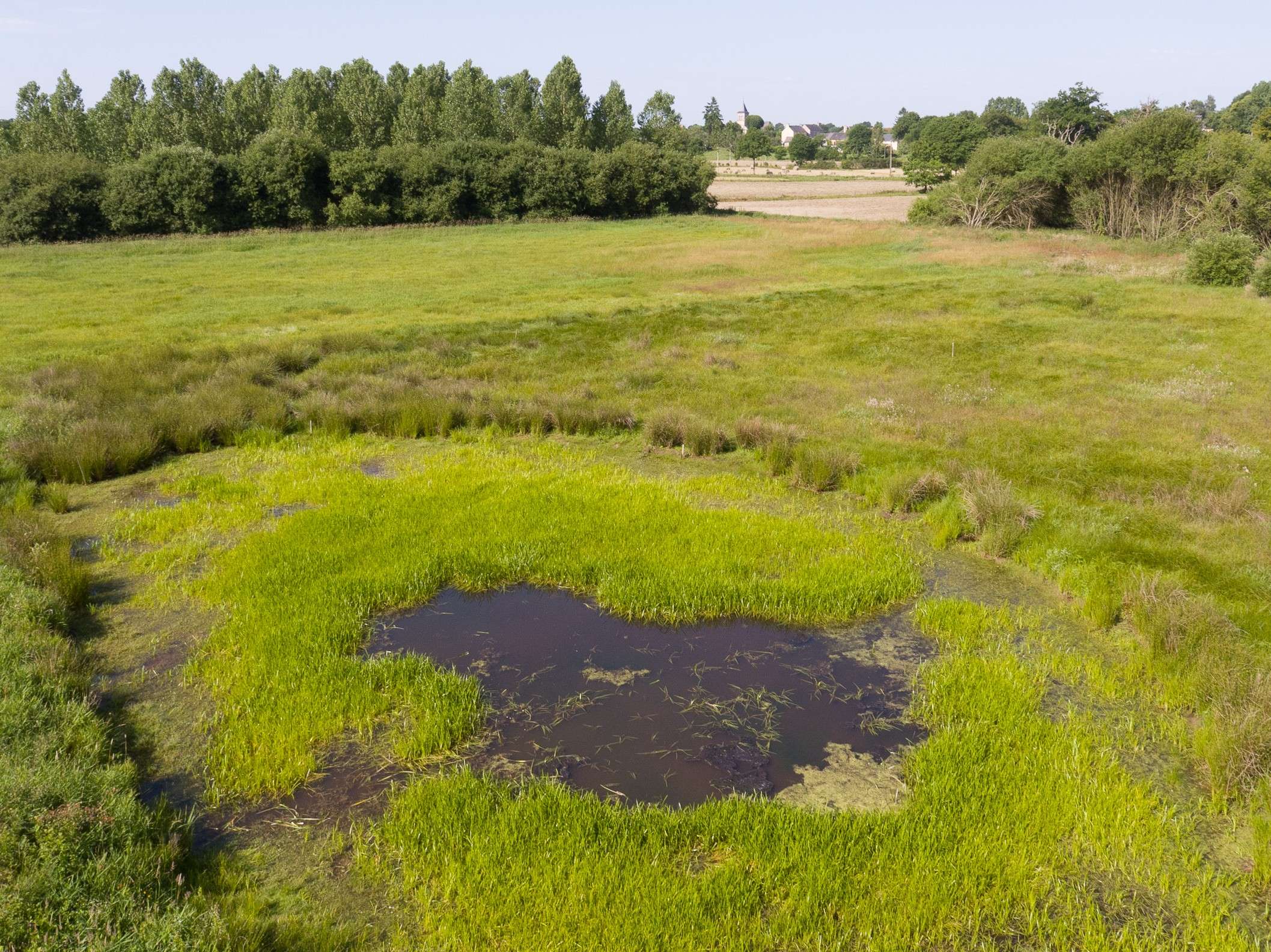 Vue aérienne en plongée du marais de Rouellé, montrant une mare d'eau sombre entourée d'une végétation herbeuse vert vif au premier plan. Au second plan, une vaste prairie s'étend jusqu'à une rangée de grands arbres denses. À l'horizon, sous un ciel clair, on aperçoit discrètement les habitations et le clocher d'un village.