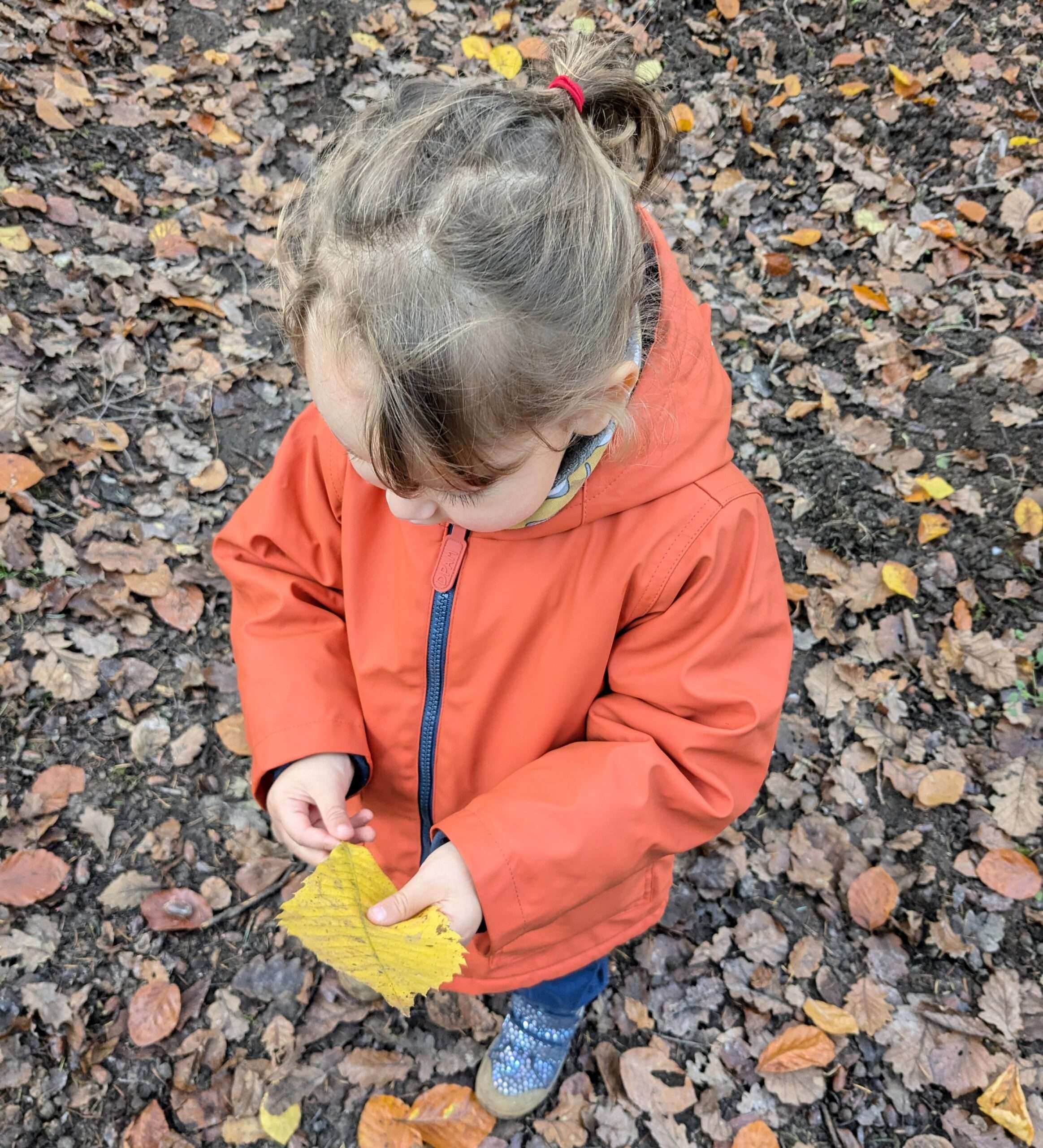 Une jeune enfant en veste orange, vue de dessus, ramasse une grande feuille jaune au milieu d'un tapis de feuilles mortes en forêt. Elle observe attentivement sa trouvaille, illustrant l'étape de collecte pour l'atelier de création d'animaux en feuilles (hérissons, écureuils).
