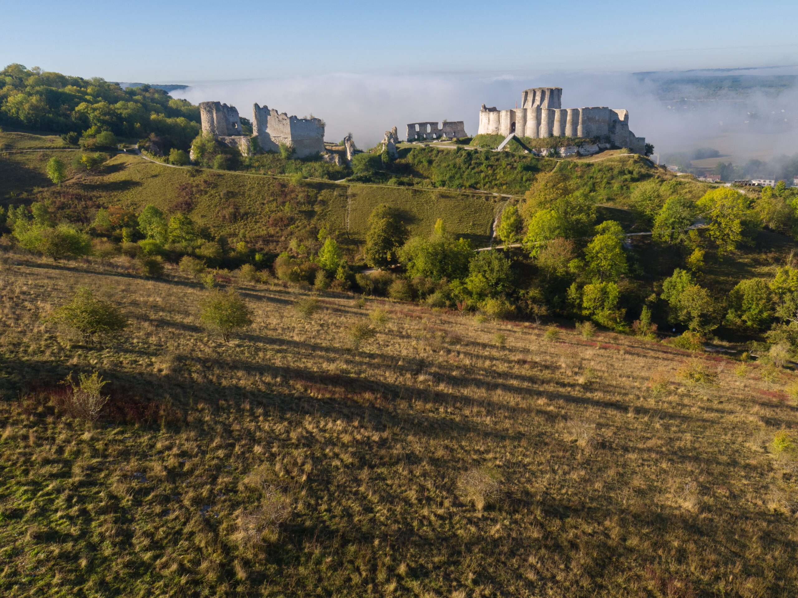 Vue panoramique en plongée des ruines du Château Gaillard dominant les coteaux calcaires des Andelys. La forteresse médiévale émerge d'une brume matinale surplombant la vallée de la Seine, entourée de pentes herbeuses et de zones boisées.