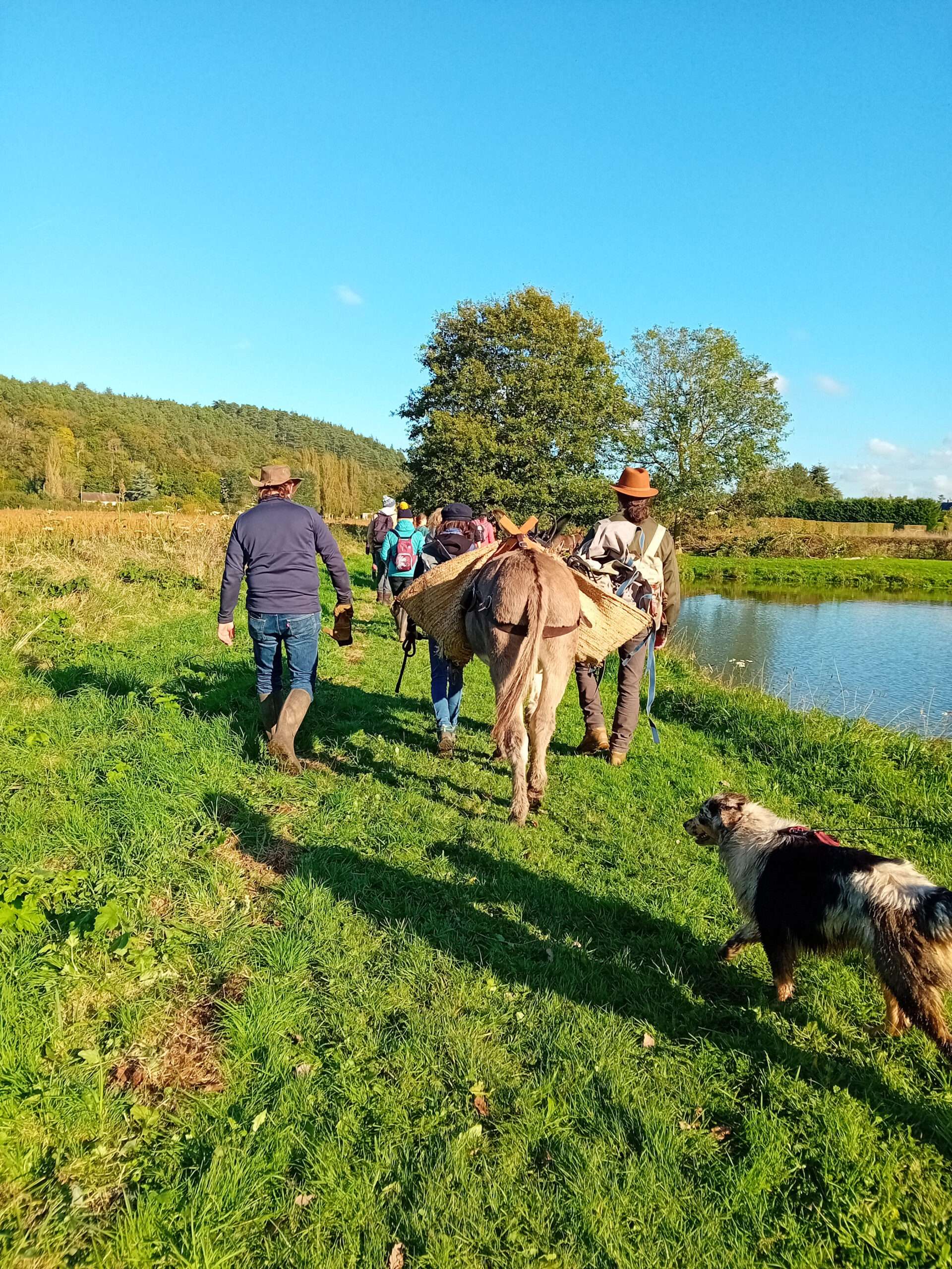 Un groupe de randonneurs avec deux ânes bâtés s'avance sur un chemin herbeux. Un chien de berger les suit de près, illustrant le départ pour une animation de chasse au trésor et de land'art.
